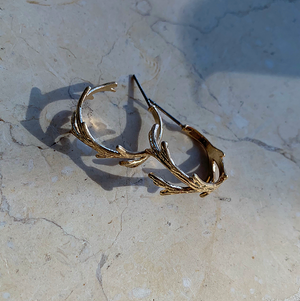An Olive Branch