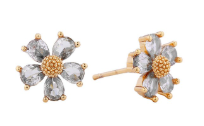 Daisy Sparkle