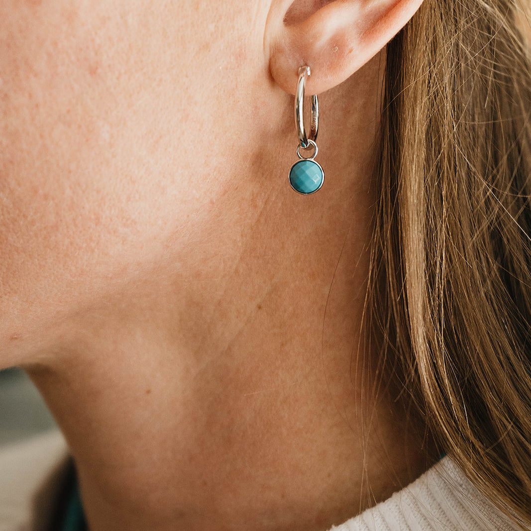 Chaco Canyon Earrings