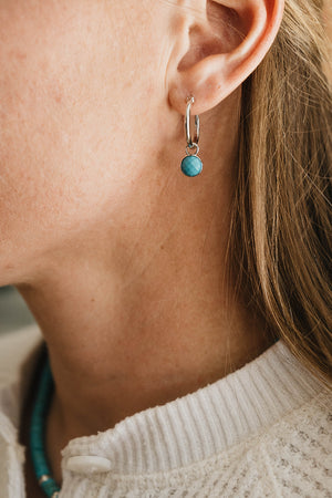 Chaco Canyon Earrings